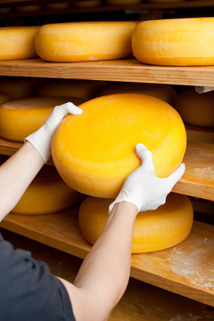Cheese Factory Io Case study image 2